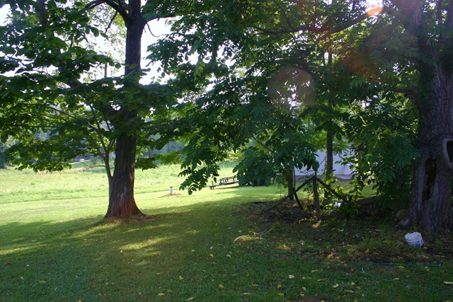 [Virginia00713.jpg]