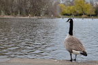 DSC_0109.JPG