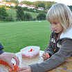 06_Domino_07.jpg