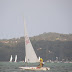 PA243850.jpg