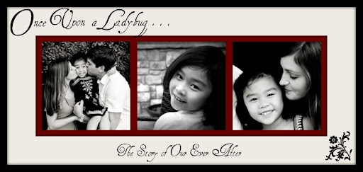 Once Upon a Ladybug