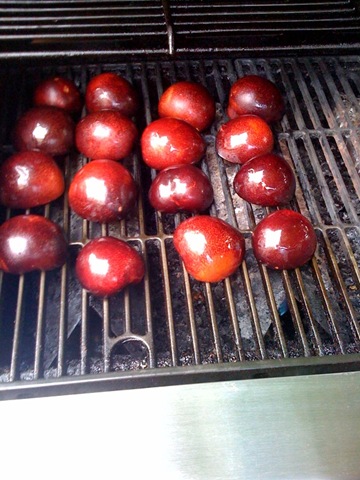 [grill[2].jpg]