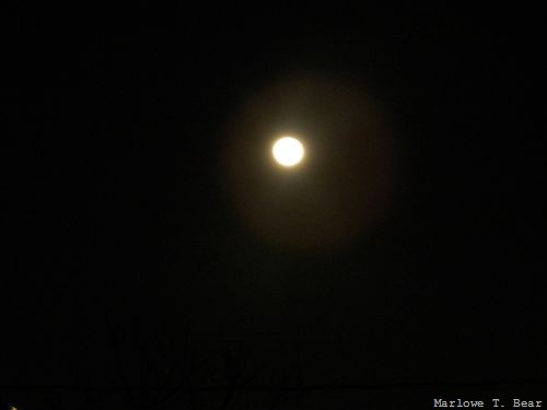 [tn_2010-01-31 Full Moon[3].jpg]