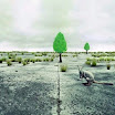 wwf_20.jpg