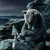 wwf_03.jpg