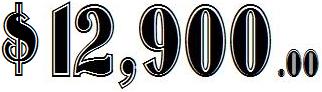 12900.jpg