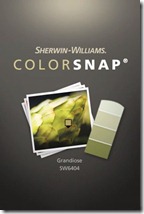 ColorSnap 