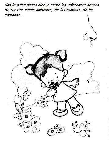 Organos de los sentidos para colorear para niños - Imagui