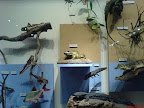 DSC00746.JPG