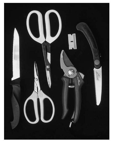 Cutting tools — from left to right: thin knife, two pairs of scissors, bypass hand pruners, single-edge razor blade, and folding pruning saw. 