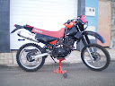 xt3504.jpg