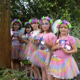 Fairy Party