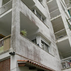 CIMG0062.JPG