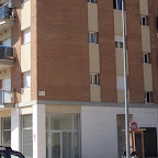 100_55822.JPG