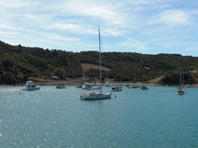 [AUKandWaihekeIsland20100274.jpg]