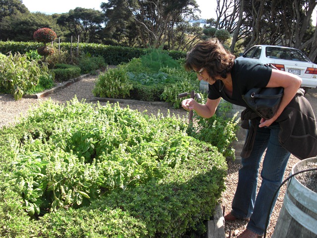 [AUKandWaihekeIsland20100693.jpg]