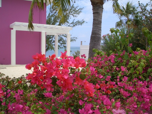 [Picture 105[5].jpg]