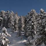 IMG_3340.JPG