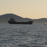 IMG_5230.JPG