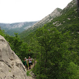 IMG_5124.JPG