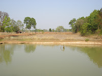 DSC02482.JPG