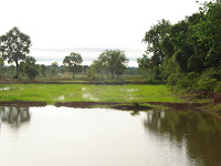DSC00574.JPG