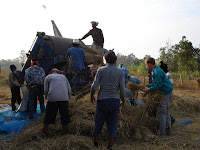 Helpen met de rijst Ban Dung2 05dec07.JPG