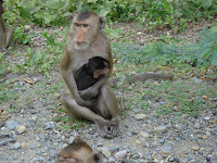 DSC00812.JPG