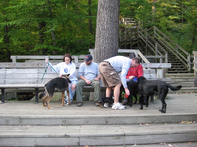 [Picture 027[2].jpg]