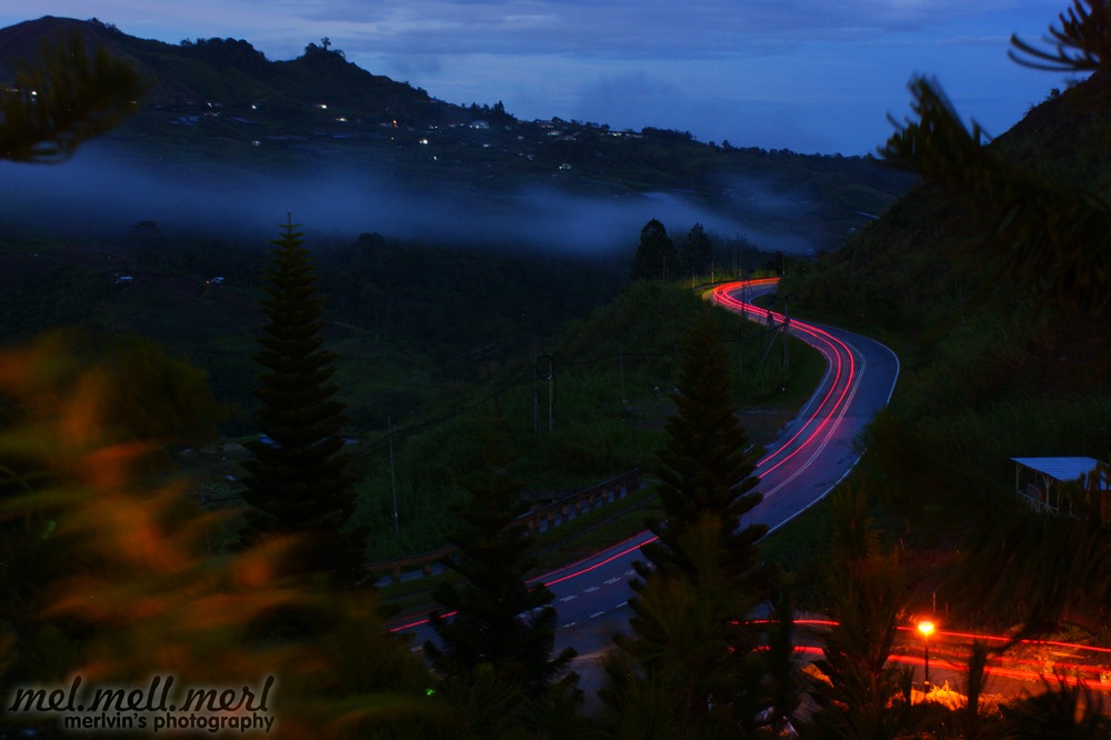 [glowing_snake_01[1].jpg]