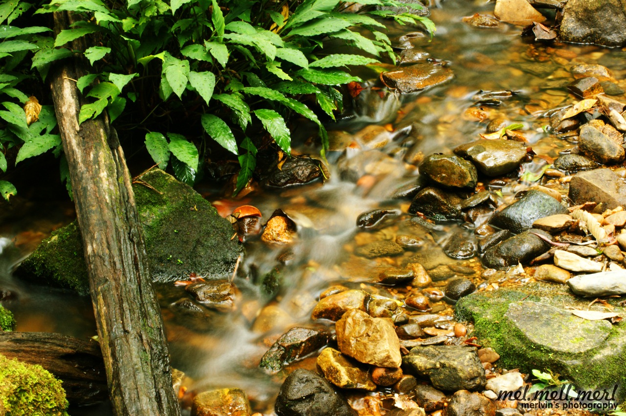 [creek_small[7].jpg]