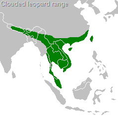[clouded-leopard-range[15].png]