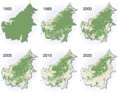 [deforestation-borneo[3].jpg]