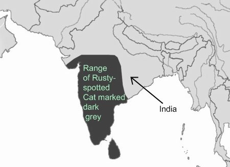 [Rusty-spotted-cat-range-1[6].jpg]