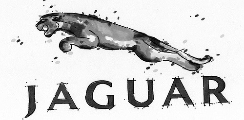 jaguar car logo Jaguar Wild Cat June 2009 As you might have guessed this 