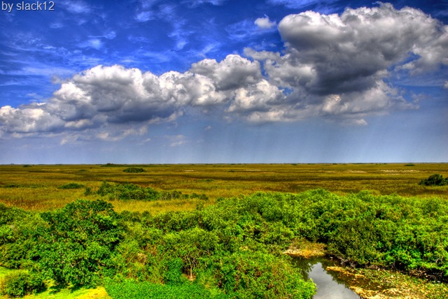 [Everglades National Park Florida[7].jpg]