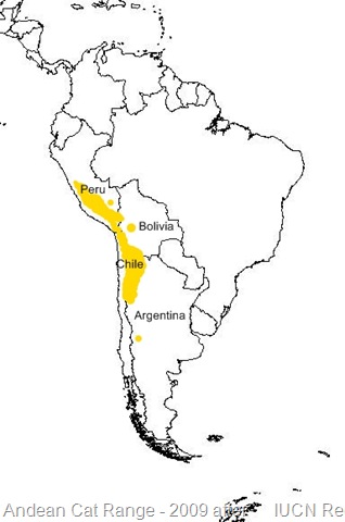 [Andean cat range[25].jpg]
