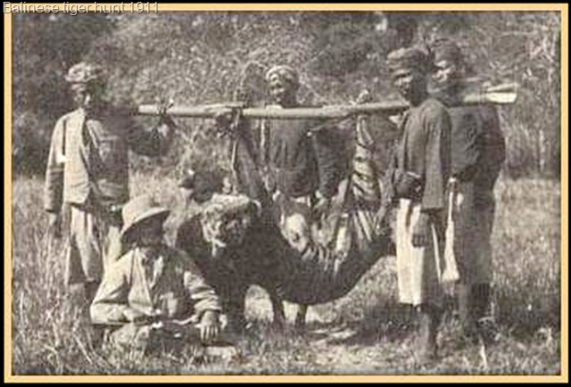 [Balinese tiger killed in tiger hunt[6].jpg]