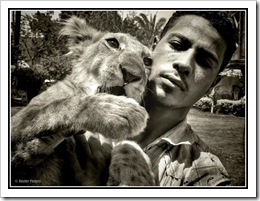 Lion picture of cub and person in Egypt by Xavier Fargas - Lion%2520picture%2520by%2520Xavier%2520Fargas_thumb%255B1%255D