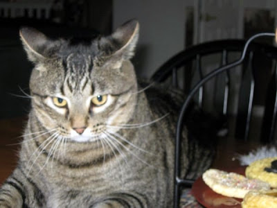 Mickey at the table waiting for his food