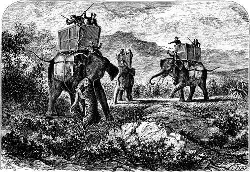 [stories of tiger hunting[5].jpg]