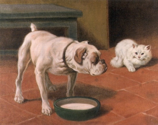 [bulldog-and-the-cat[2].jpg]