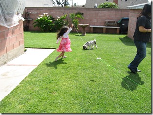 IMG_9225 IMG_9225