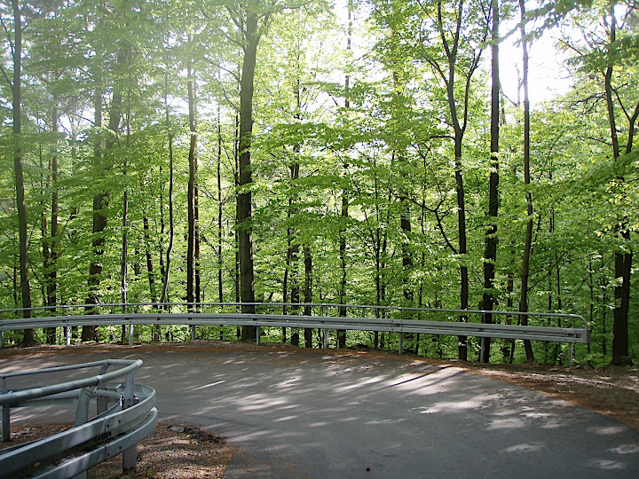 P5080037.JPG