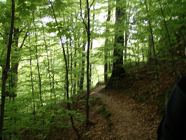 P5080038.JPG