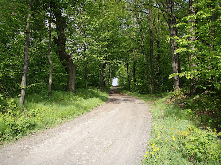 P5080045.JPG