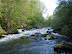 P5090068.JPG