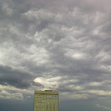 08062009136: