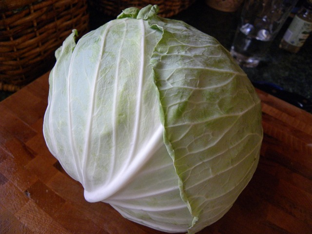 [CSA cabbage[3].jpg]