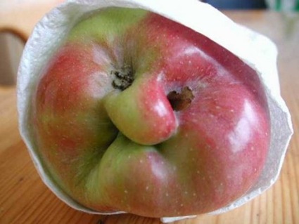 [grumpy apple[2].jpg]